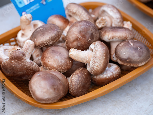 Fresh mushrooms at a traditional market