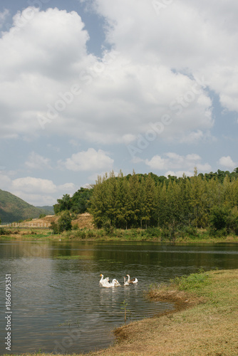 Beautiful outdoor view at Huai Tha Khoei Ban Kha Ratchaburi reservoir. The scene features a wooden photo spot, white ducks, and a calm lake with mountain views.