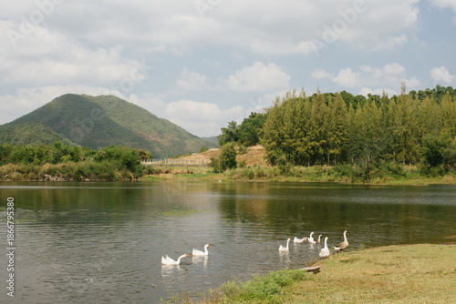 Beautiful outdoor view at Huai Tha Khoei Ban Kha Ratchaburi reservoir. The scene features a wooden photo spot, white ducks, and a calm lake with mountain views.