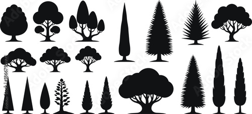 Large Set of Black Tree Silhouettes Featuring Various Species Including Pine Cypress Oak and Fir for Landscape Design and Architecture