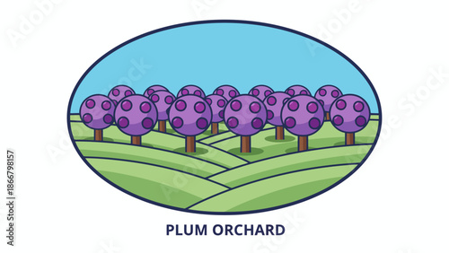 Illustration Of Plum Orchard Trees In Row.
