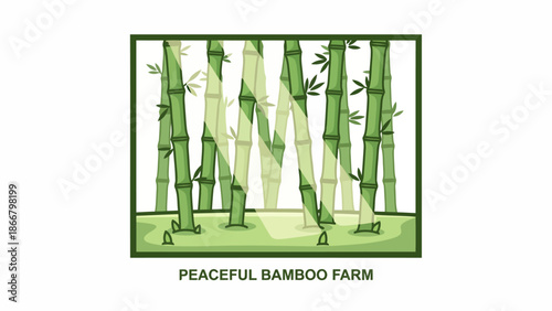 Bamboo Forest Stalks in Peaceful Farm Setting.