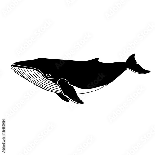 Black shark silhouette vector illustration of a wild marine animal swimming in the blue sea water isolated on white