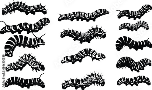 Caterpillar silhouette collection of crawling insects in various poses, larva illustration set for nature, entomology and biology themes