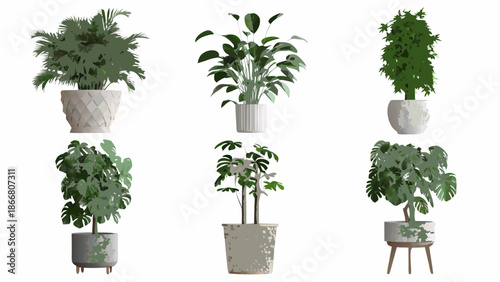 A collection of diverse potted houseplants on a clean white background