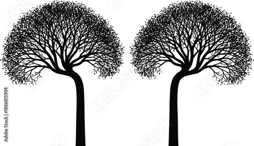 Pair of black tree silhouettes with curved trunks and dense rounded foliage isolated on white background botanical vector illustration