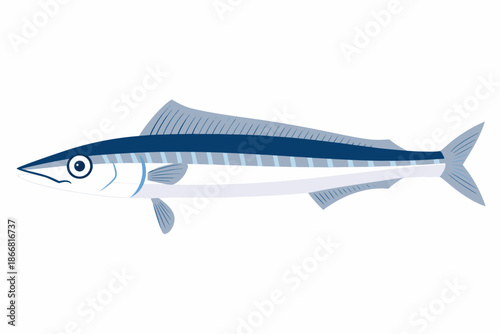 A simple illustration of a blue and white king mackerel fish