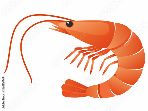 Illustration of a vibrant orange shrimp with detailed features and a white tail