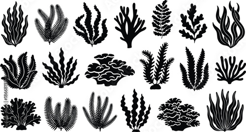 Large black seaweed silhouette collection featuring coral reef elements and underwater aquatic plants isolated on white background for marine nature design
