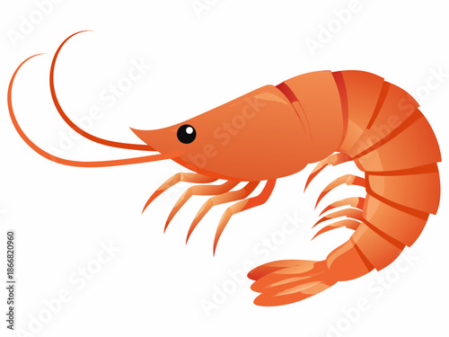 A vibrant orange shrimp illustration with long antennae and detailed segments