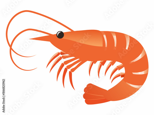 A vibrant orange shrimp illustration with detailed features and curled antennae