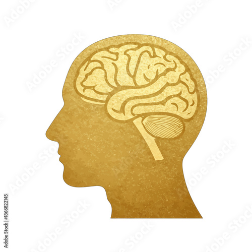 Human head silhouette with detailed brain structure