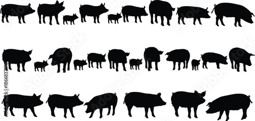 Set of domestic pig silhouettes, farm animal icons, sows with piglets, livestock pork symbols, agriculture swine figures, hog silhouettes, vector,