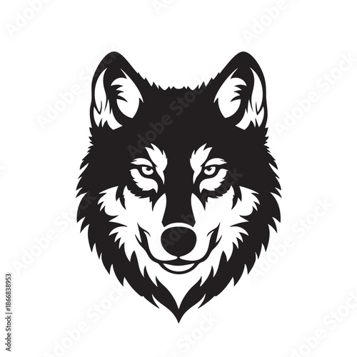 A black and white illustration of a wolf's face with piercing eyes and sharp fur on a plain background with animal and wildlife and nature and graphic