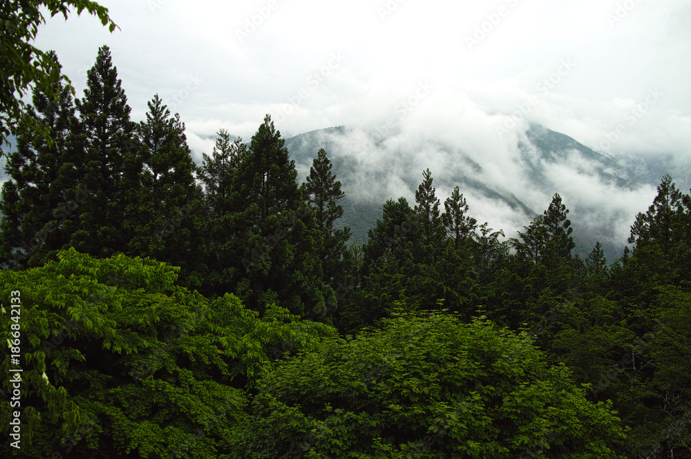 Fototapeta premium Misty Mountain Veiled in Clouds and Deep Green Forest