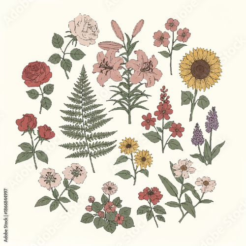 A colorful, whimsical flat lay illustration of various flowers and a fern arranged in a circular pattern on a clean white background with a cute, cartoon style reminiscent of dragon designs.