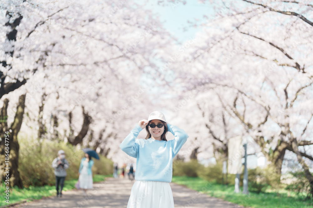 Fototapeta premium Woman tourist sightseeing Kitakami Tenshochi Park with Sakura Cherry Blossom in Spring, traveler travel in Kitakami festival, Iwate prefecture, Japan. Landmark for Travel and Vacation destination
