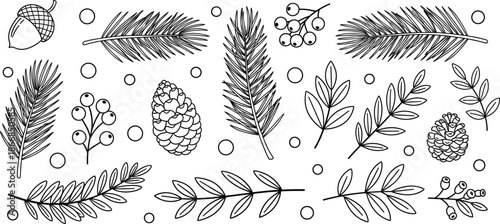 Hand Drawn Forest Botanical Elements Set Pine Branches Cones Leaves Sketch Vector