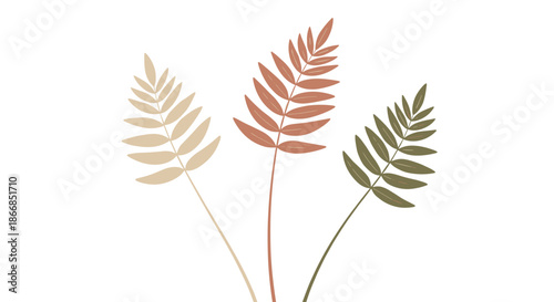 Three delicate fern leaves in different shades of beige orange and green standing upright on white background.