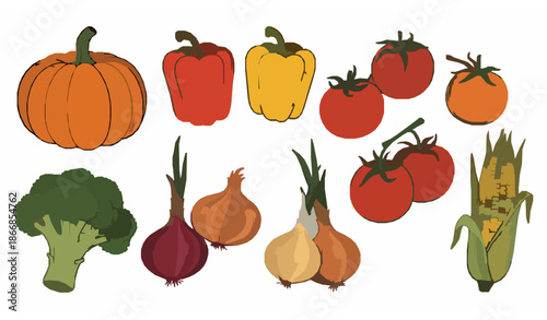 Hand drawn vegetable harvest set pumpkins corn tomatoes farm illustration