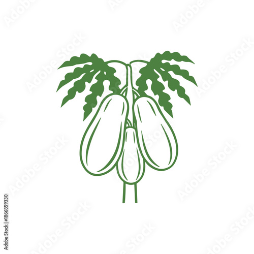 Vector illustration of a fresh organic cucumber with green leaves and a yellow flower isolated on a white background for healthy vegetarian diet and agriculture design