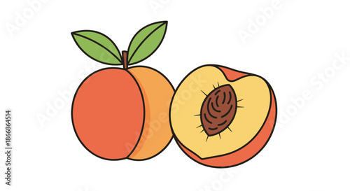 Colorful cartoon illustration of a whole peach fruit with leaves and a half peach showing the stone pit, isolated on white background.