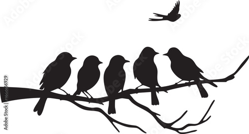 Groupe de moineau sur une branche et volant sur un fond transparent - Silhouette