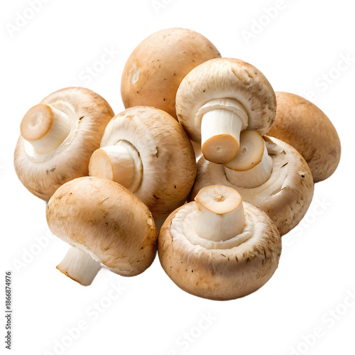 A collection of fresh, brown mushrooms with a transparent background.