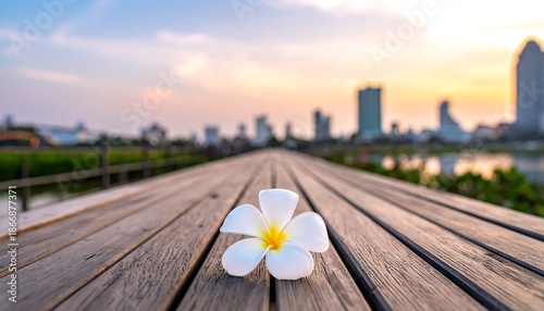 Plumeria on wooden bridge with city skyline at sunset.