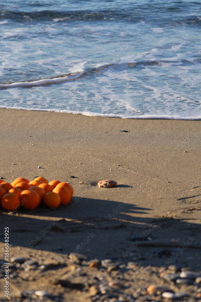 Obraz premium photo shoot with Basket oranges beach. High quality photo