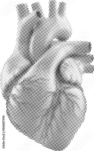 Halftone dot pattern illustration of a human heart representing cardiology and health.