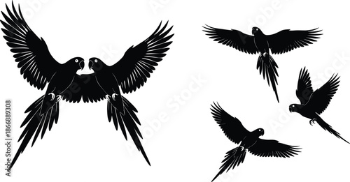 Flying parrot silhouettes vector set with spread wings tropical bird shapes wildlife design isolated on white