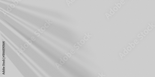 Glare from the sun s rays on the wall. Blurred shadows from leaves and plants in the room. Soft overlay of natural light. Abstract background for product