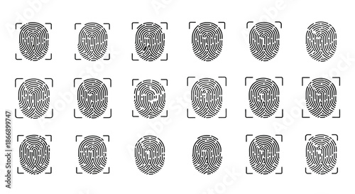 Array of fingerprint patterns
