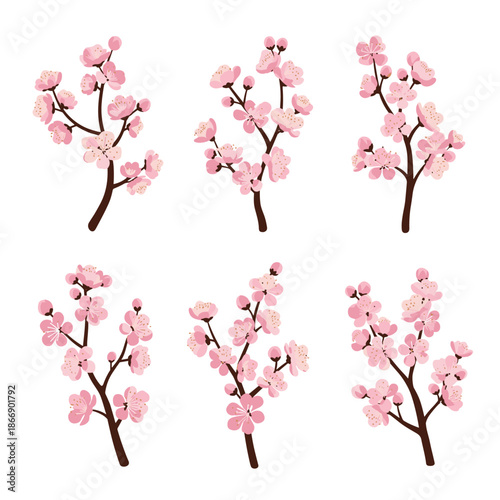 Collection of delicate pink cherry blossom branches with various stages of buds and flowers, symbolizing spring in a clean vector style.