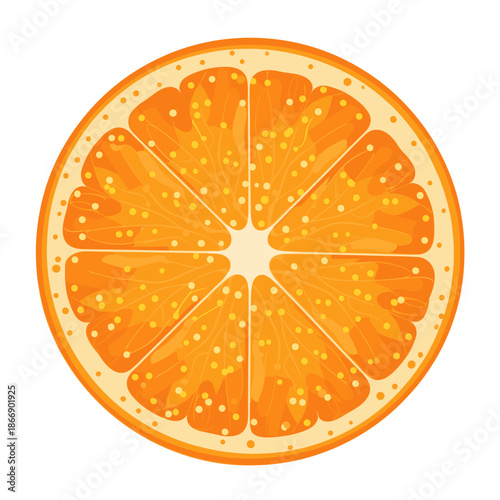 Detailed cross section of a fresh orange slice showing the juicy pulp and rind for use in healthy food and vitamin related designs.