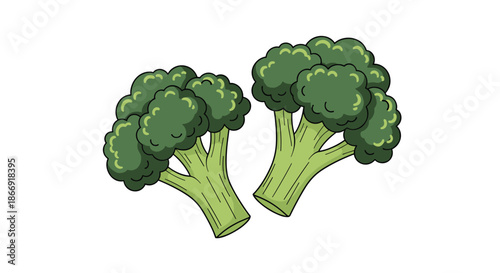 Two fresh green broccoli florets are illustrated with detailed stalks and bushy tops on a clean white background.