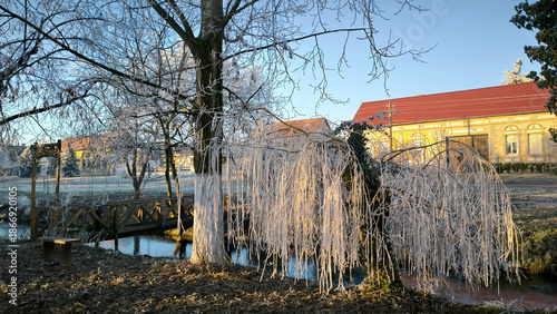 Fotografie winter morning withe rime ice on the trees in the park in Backi Petrovac, Vojvod