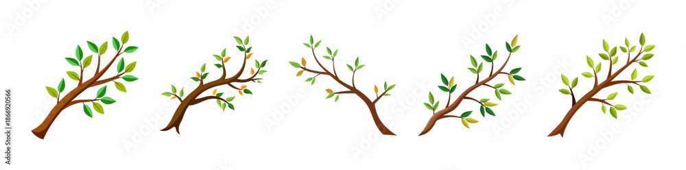 Obraz premium Vector tree branches with green leaves, nature growth spring symbol