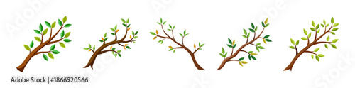 Vector tree branches with green leaves, nature growth spring symbol
