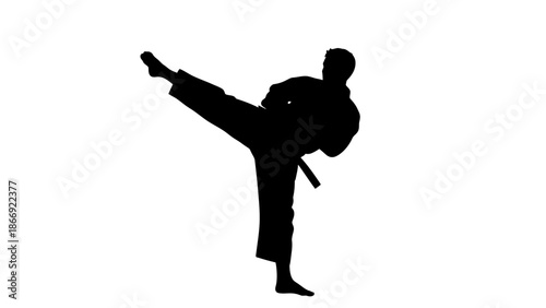 Silhouette of Martial Artist in Action Pose.