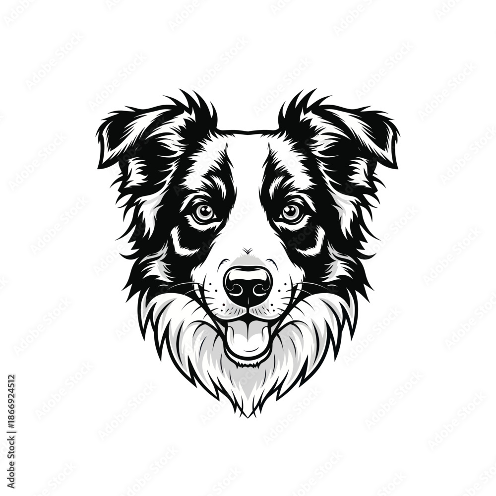 Naklejka premium Adobe Illustrator Artwork