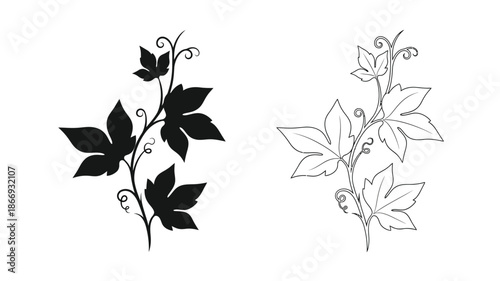 Simple black and white illustration of ivy leaves and winding stems