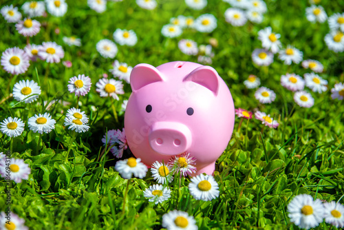 Wallpaper Mural Piggy Bank on the background of blooming daisies
 Torontodigital.ca