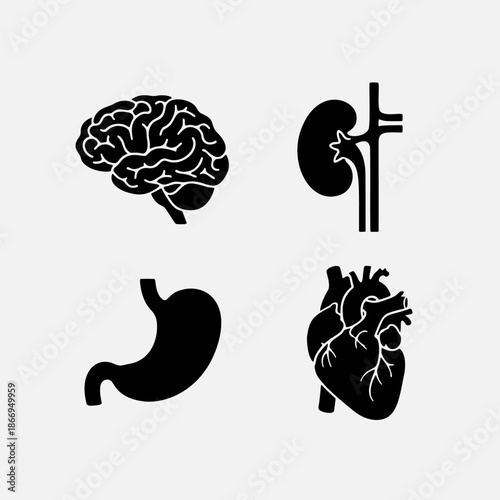 Set of Human Organs Icons Brain, Stomach, Kidney, and Heart