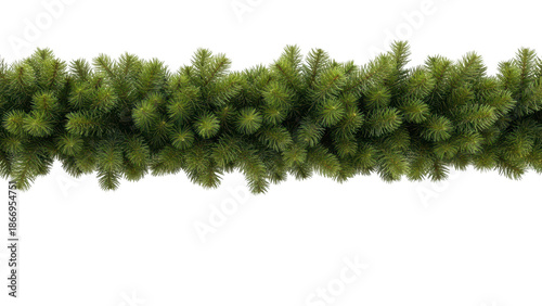 Lush green pine tree with dense foliage and vibrant leaves on a transparent background for nature and outdoor themes