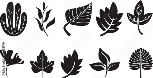 Leaf sprout icon vector set, green leaves plant eco logo symbol simple graphic illustration set, vegan fresh herb pictogram shape sign, organic natural healthy logotype