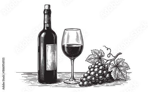 Hand-drawn illustration of a bottle of red wine, a filled wine glass, and a bunch of grapes on a table