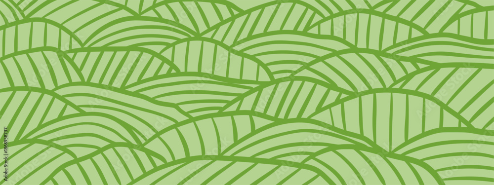 Obraz premium Vineyard field pattern. Wavy stripe farm hills and curved line landscape