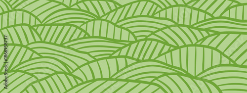 Vineyard field pattern. Wavy stripe farm hills and curved line landscape